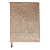 Planner My Days 2026 Níquel Pronta Entrega