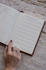 Planner My Days 2026 Menta Liso Pronta Entrega