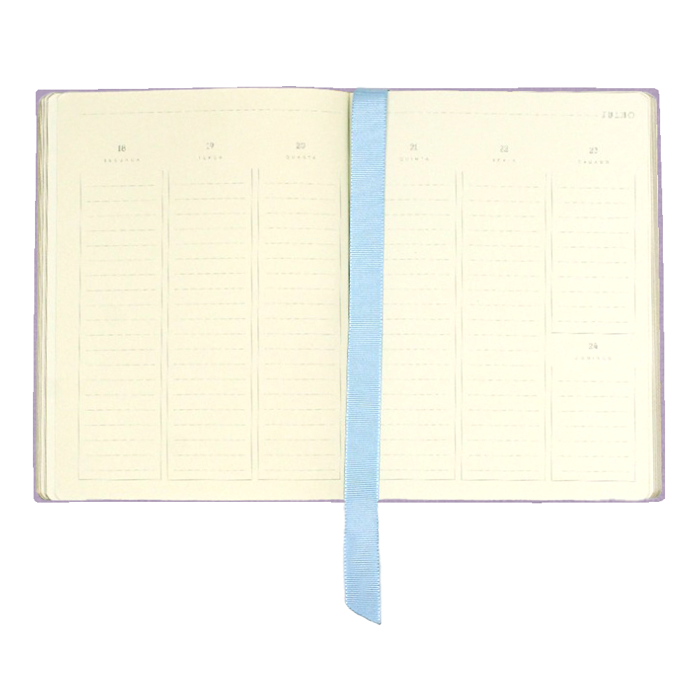 Planner My Days 2025 Nossa Senhora das Graças Pronta Entrega