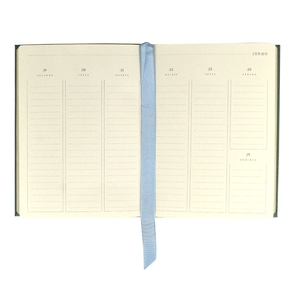 Planner My Days 2025 SKY Liso Pronta Entrega
